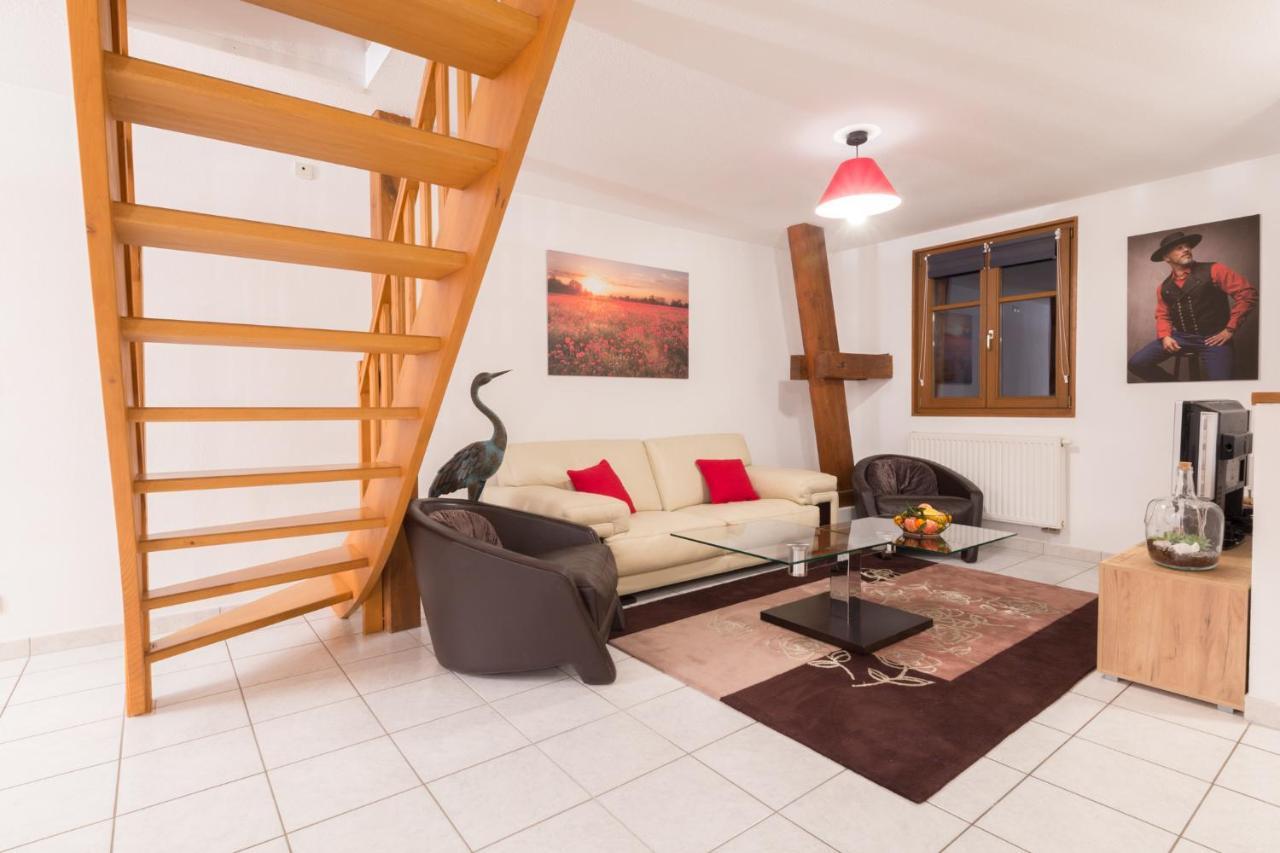 Au Cocon Des Cigognes Apartment Sigolsheim Luaran gambar